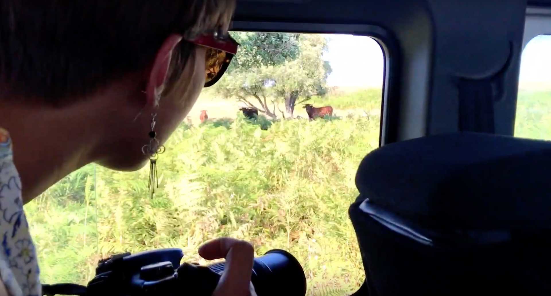 Visita a Doñana